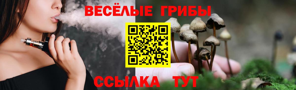 Галлюциногенные грибы GOLDEN TEACHER  Вход с VPN  Галлюциногенные грибы Psilocybine cubensis  Мурманск 