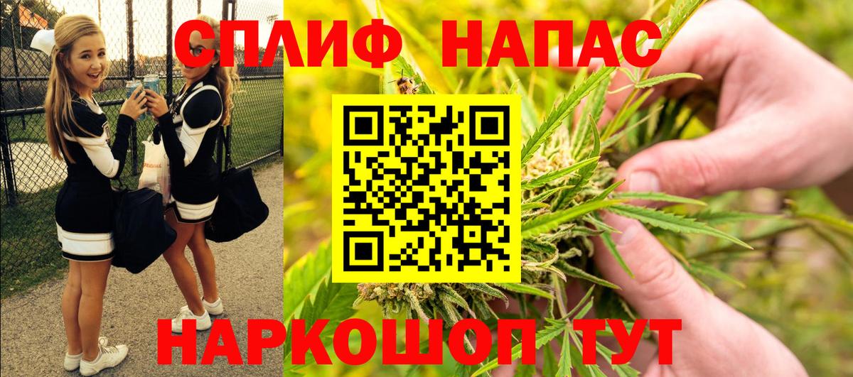 Мурманск  Канабис планчик  Вход с VPN  Бошки марихуана Amnesia  Конопля Amnesia  Конопля OG Kush 